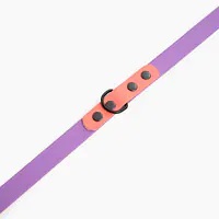 Smycz przepinana Biothane® dla psa lub kota "Lilac with Coral" - Master