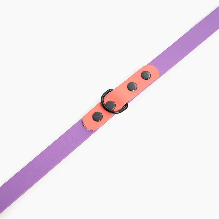 Smycz przepinana Biothane® dla psa lub kota "Lilac with Coral" - Master