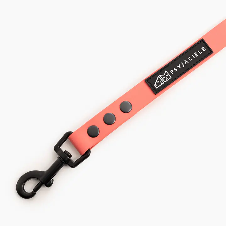 Training leash Biothane® Coral AF - Master