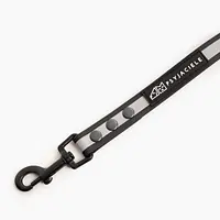"Reflection"  Biothane® city leash - Master