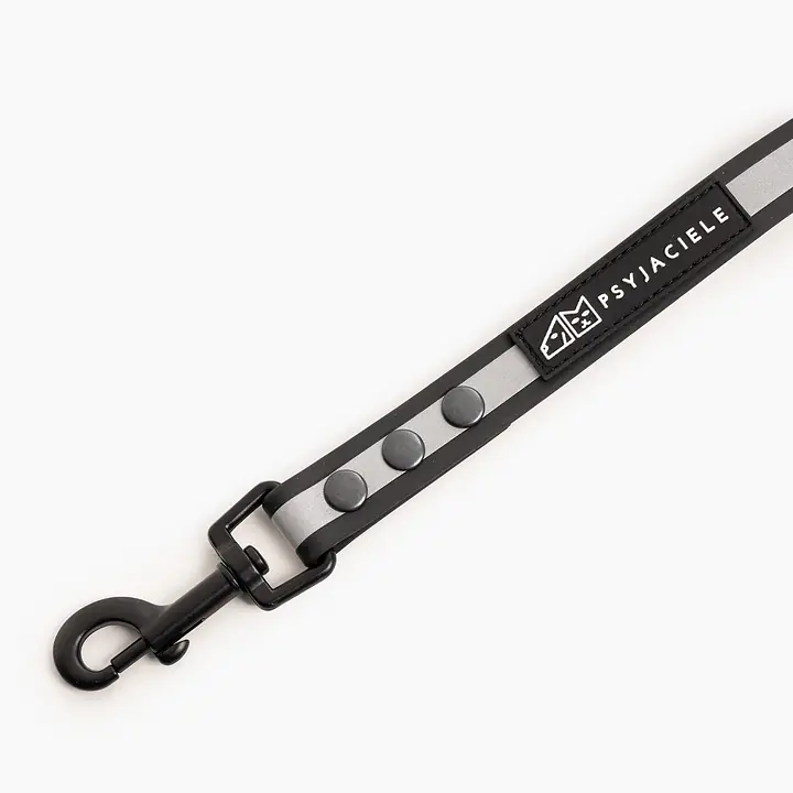 "Reflection"  Biothane® city leash - Master