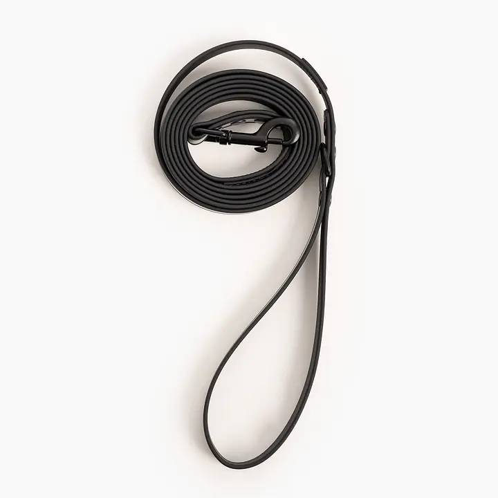 "Reflection"  Biothane® city leash - Master