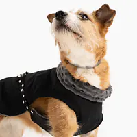 Kurtka dla psa "Psygarnij kropka" - Master