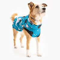 Dog jacket  "What does the seal say?" - Master