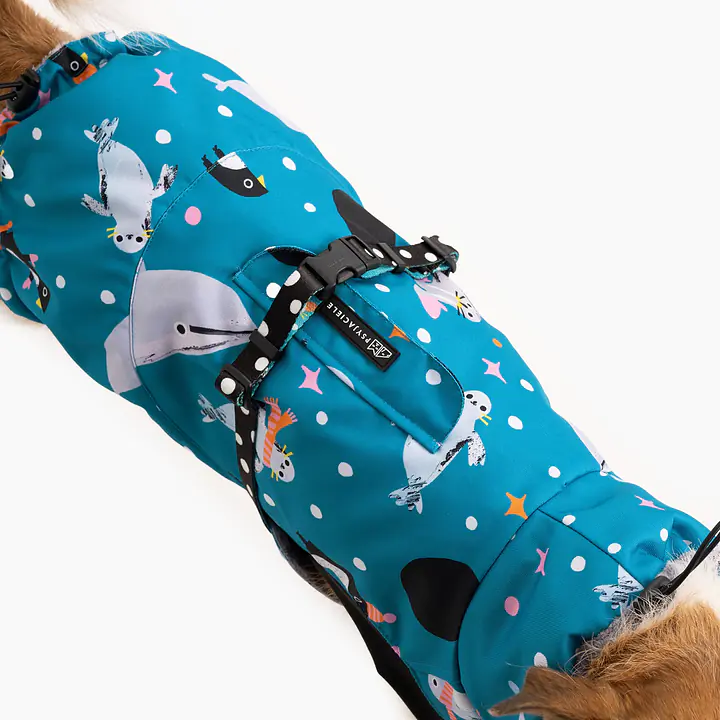 Dog jacket  "What does the seal say?" - Master