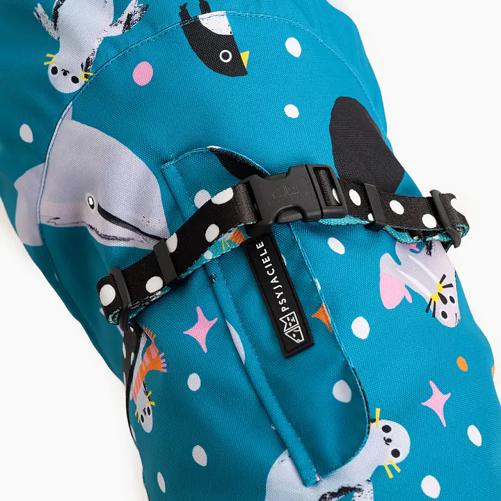 Dog jacket  "What does the seal say?" - Master