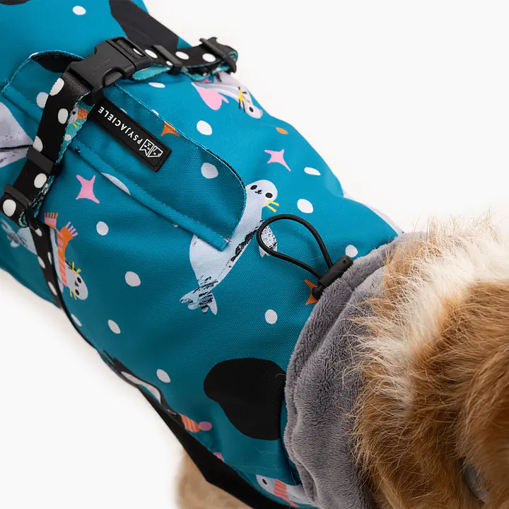 Dog jacket  "What does the seal say?" - Master