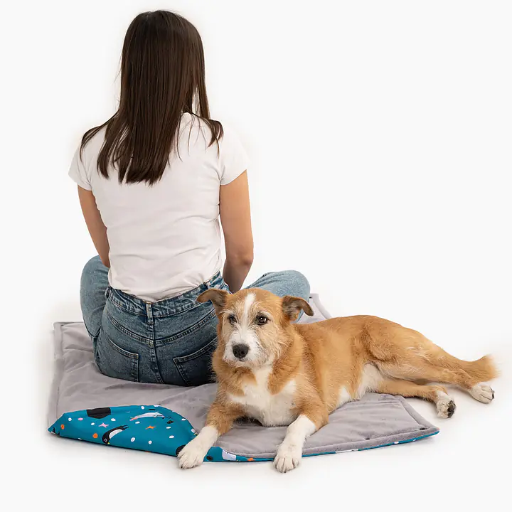 Mat-bag "What does the seal say?" - Master