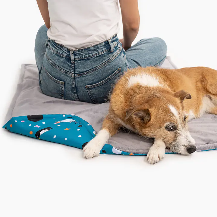 Mat-bag "What does the seal say?" - Master