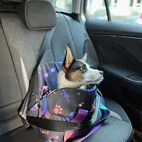 Bag 3in1 "Doggy style" - Master