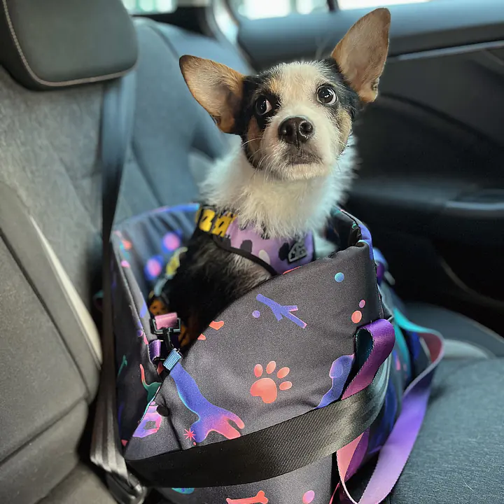 Bag 3in1 "Doggy style" - Master