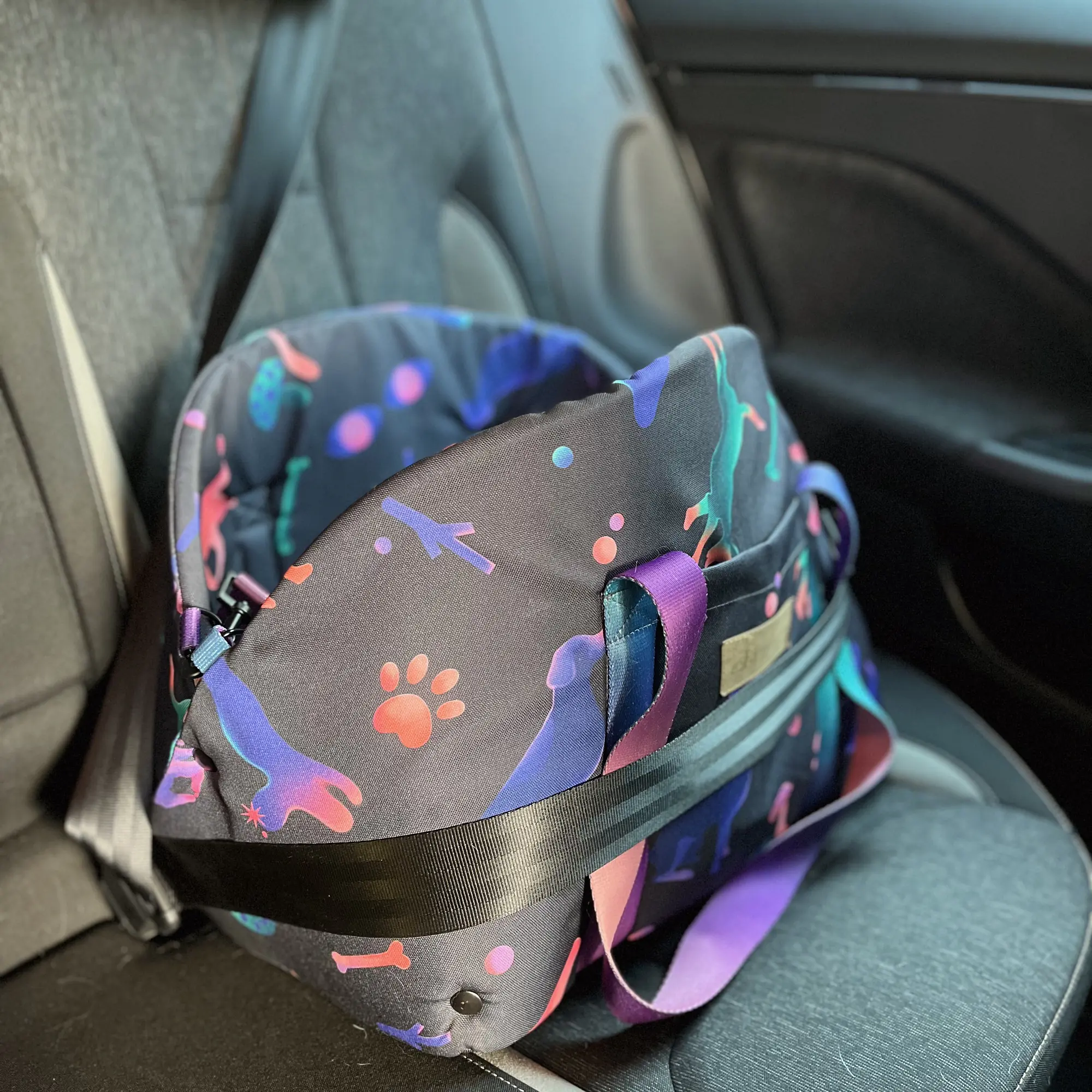 Bag 3in1 "Doggy style" - Master