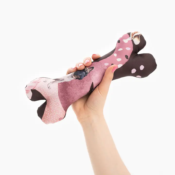 Snuffle mat + toy bone set - Master