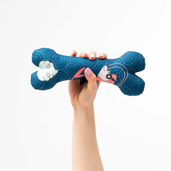 Snuffle mat + toy bone set - Master