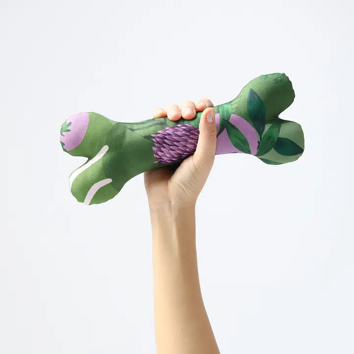 Snuffle mat + toy bone set - Master