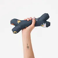 Snuffle mat + toy bone set - Master