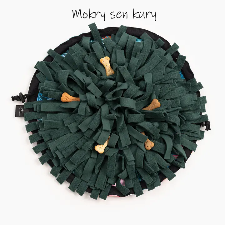 Snuffle mat + toy bone set - Master