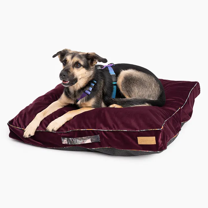 Velvet Cushion ''Catollage'' - Master