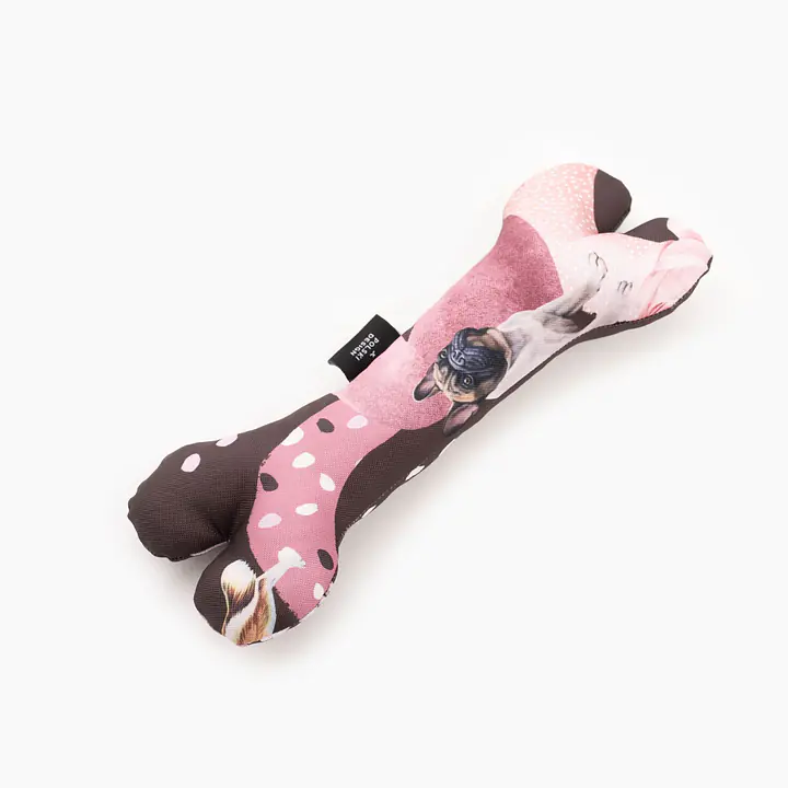 Zestaw muszka M + zabawka kość - Master