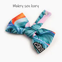 Zestaw muszka M + zabawka kość - Master