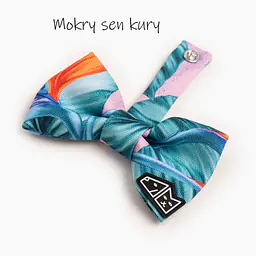 Zestaw muszka M + zabawka kość - Master