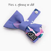 Zestaw muszka M + zabawka kość - Master