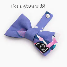 Zestaw muszka M + zabawka kość - Master