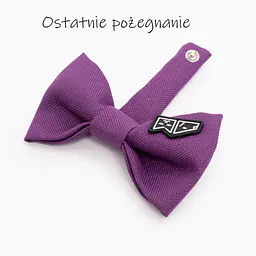 Zestaw muszka M + zabawka kość - Master