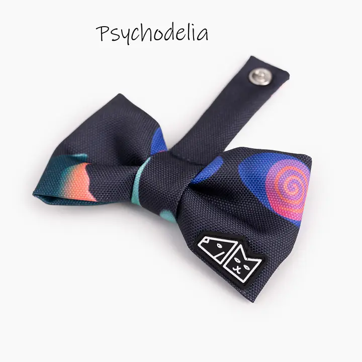 Zestaw muszka M + zabawka kość - Master