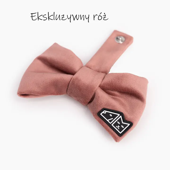 Zestaw muszka M + zabawka kość - Master