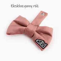 Zestaw muszka M + zabawka kość - Master