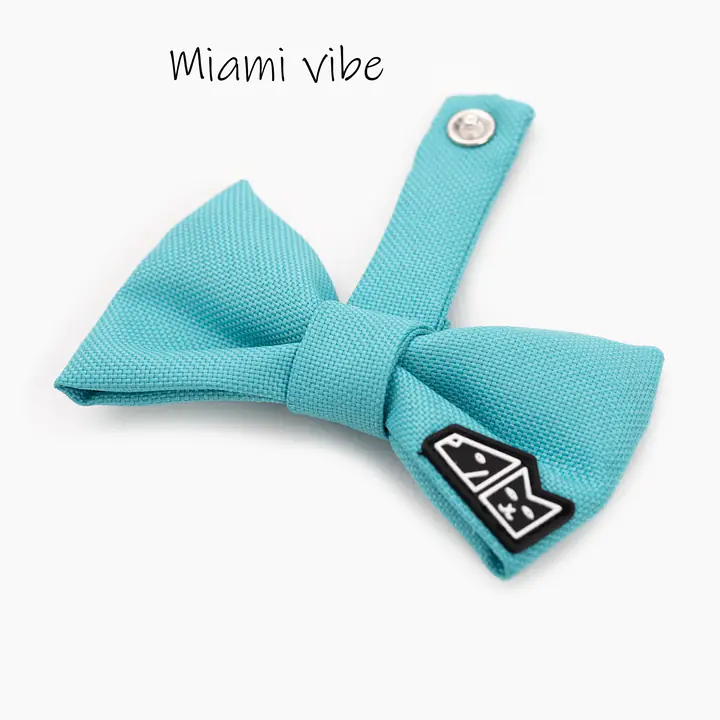 Zestaw muszka M + zabawka kość - Master