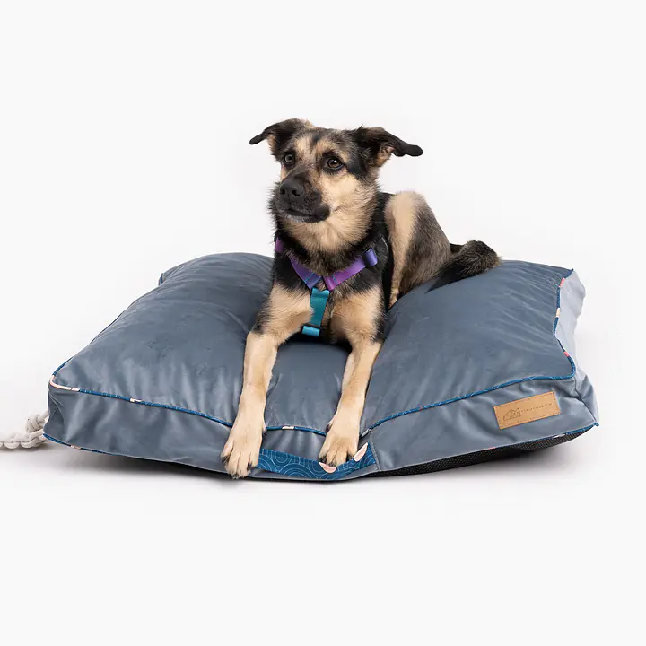 Velvet Cushion "Doggomaki" - Master