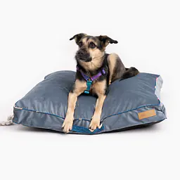 Velvet Cushion "Doggomaki" - Master