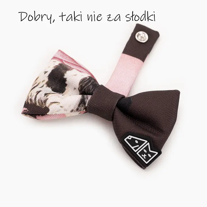 Zestaw muszka M + zabawka kość - Master