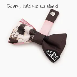 Zestaw muszka M + zabawka kość - Master