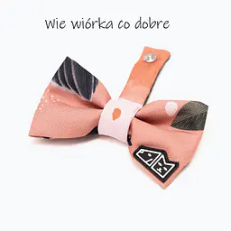 Zestaw muszka M + zabawka kość - Master