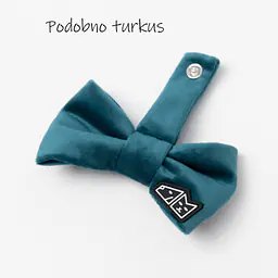 Zestaw muszka M + zabawka kość - Master