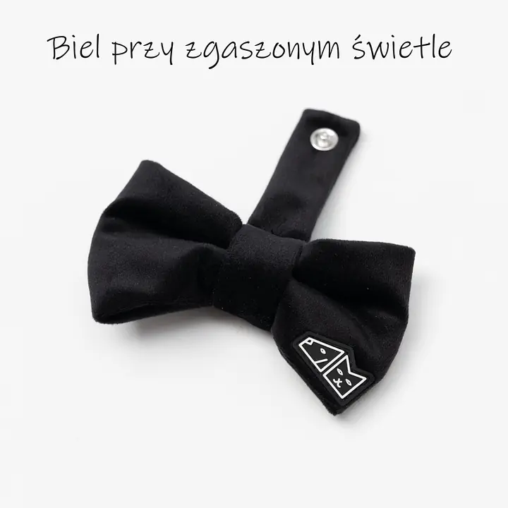 Zestaw muszka M + zabawka kość - Master