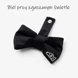 Zestaw muszka M + zabawka kość - Master