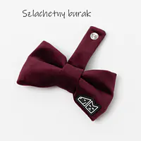 Zestaw muszka M + zabawka kość - Master