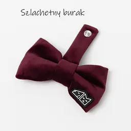 Zestaw muszka M + zabawka kość - Master