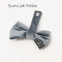 Zestaw muszka M + zabawka kość - Master