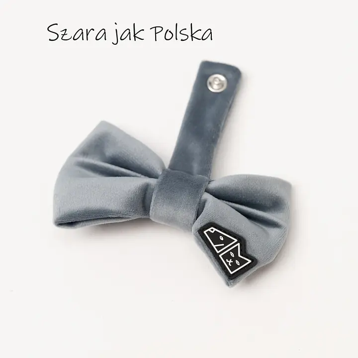 Zestaw muszka M + zabawka kość - Master