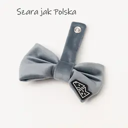 Zestaw muszka M + zabawka kość - Master