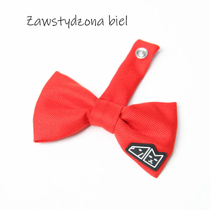 Zestaw muszka M + zabawka kość - Master