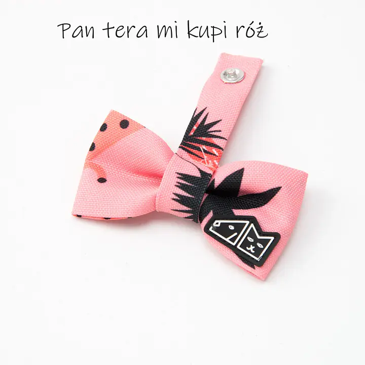 Zestaw muszka M + zabawka kość - Master