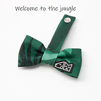 Zestaw muszka M + zabawka kość - Master