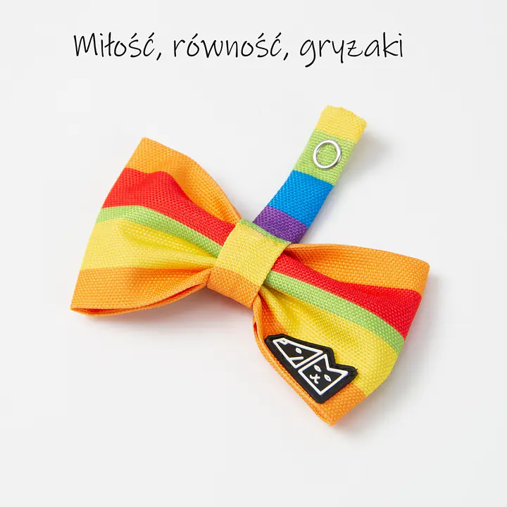 Zestaw muszka M + zabawka kość - Master