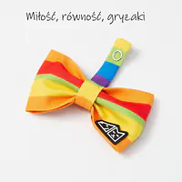 Zestaw muszka M + zabawka kość - Master